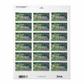 エンファントアタブレダンドルジャルダンカミールピサロ ラベル (フルシート)