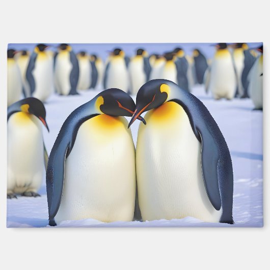 エンペペンギン動物自然野生動物愛護 マグネット (正面)