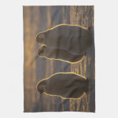 エンペペンギン キッチンタオル (縦)