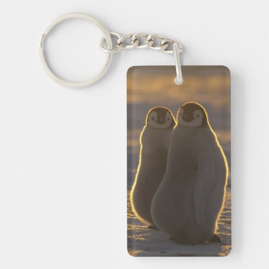 エンペペンギン キーホルダー (正面)