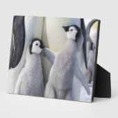 エンペペンギン・シック フォトプラーク (側面)