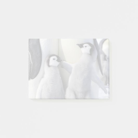 エンペペンギン・シック ポストイット (正面)