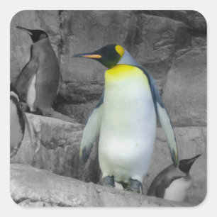 エンペペンギン スクエアシール