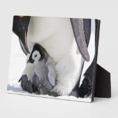 エンペペンギン |スノーヒル島 フォトプラーク (側面)