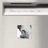 エンペペンギン |スノーヒル島 マグネット (インサイチュ (食洗機))