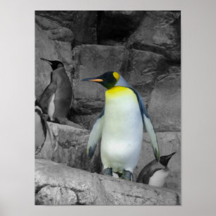 エンペペンギン ポスター