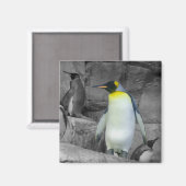 エンペペンギン マグネット (正面/裏面)
