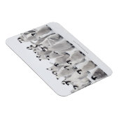 エンペペンギン マグネット (右側)