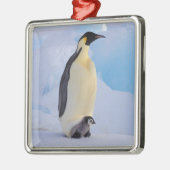 エンペペンギン | 無足症 メタルオーナメント (左)
