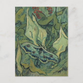 エンペラーモス | ビンセント・ヴァン・ゴッホ ポストカード (正面)