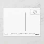 エンペールペンギンキス – はがき (裏面)