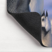 エンペールペンギン（アプテノジートフォルステリ）大人 マウスパッド (コーナー)