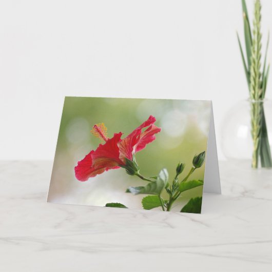 エンボスの赤いハイビスカス、クリスマスの照明 シーズンカード (正面)