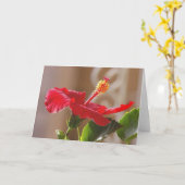 エンボスレッドハイビスカス、スクロール カード (黄色い花)