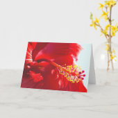 エンボスレッドハイビスカス、炎 カード (黄色い花)