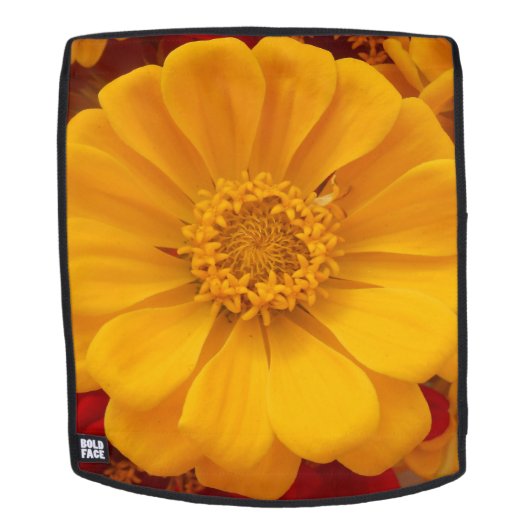 エンメリン バックパック (取り外し可フェース)