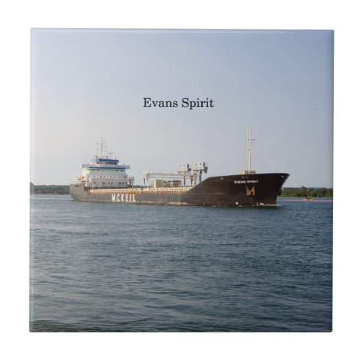 エヴァンス精霊タイル タイル (正面)