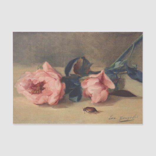 エヴァ・ゴンザレス『牡丹&ジューン・バグ』 薄葉紙 (正面)