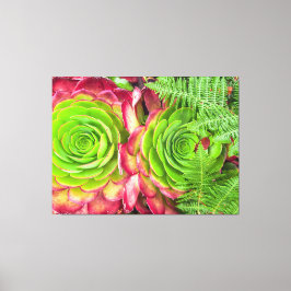 エーオニウム キャンバスプリント