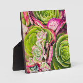 エーオニウム フォトプラーク (正面)