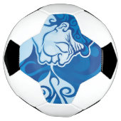 エーオラス サッカーボール (回転)