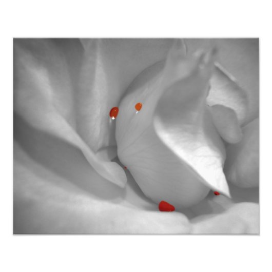 エーオリアン水彩写真プリント フォトプリント            (正面)