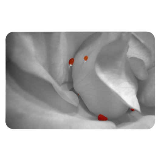 エーオリアン水彩可撓磁石 マグネット (横)