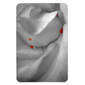 エーオリアン水彩可撓磁石 マグネット (縦)