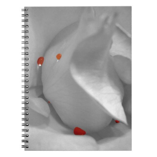 エーオリアン水彩手帳 ノートブック (正面)