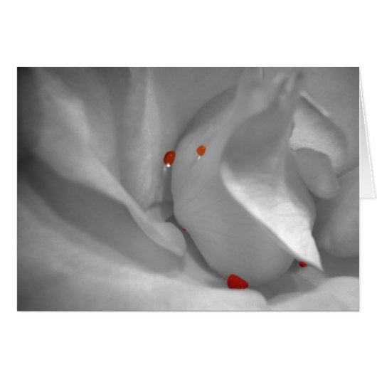 エーオリアン水彩画カード (正面横)