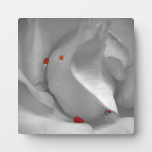 エーオリアン水彩画 フォトプラーク (正面)