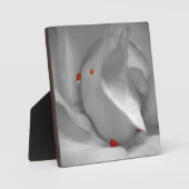 エーオリアン水彩画 フォトプラーク (正面)