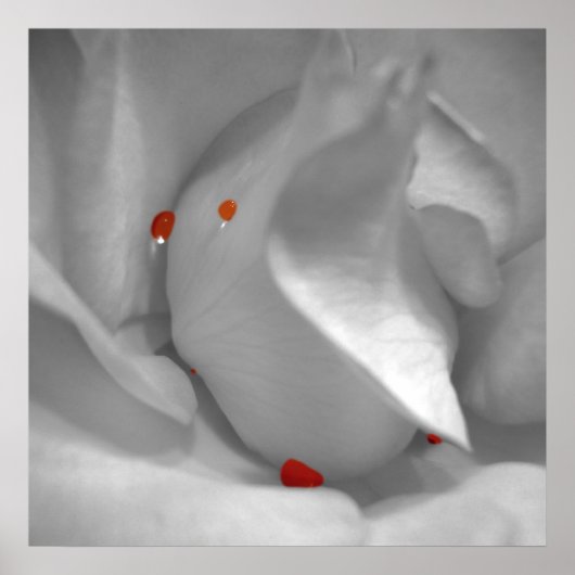 エーオリアン水彩色プリント ポスター (正面)