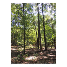 エーカ失ったープリント