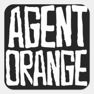 エージェントOrange "Thrashed"ロゴスタンプSkate Punk スクエアシール