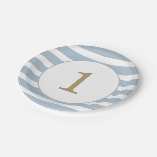 エージパーソナライズされたストライプ男の赤ちゃん誕生日 ペーパープレート (アングル)