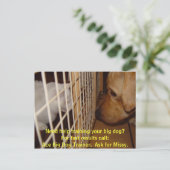 エースビッグドッグトレーナー ポストカード (スタンド正面)