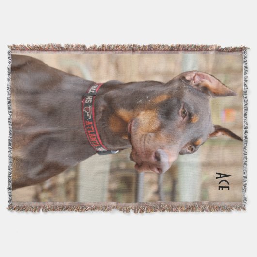 エース スローブランケット (正面)