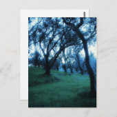 エーテルモーメント ポストカード (正面/裏面)