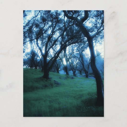 エーテルモーメント ポストカード (正面)