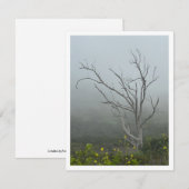 エーテル調和 ノートカード (正面/裏面)