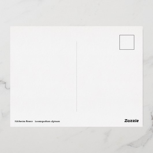 エーデルワイスの花のマクロ 箔シーズンポストカード (裏面)