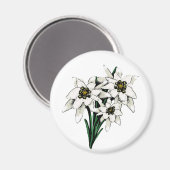 エーデルワイスの花 マグネット (正面/裏面)