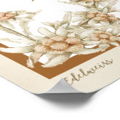 エーデルワイスフラワーオーストリア ポスター (角)