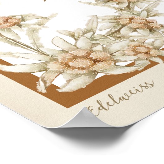 エーデルワイスフラワーオーストリア ポスター (角)