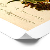 エーデルワイスフラワーズヴィンテージ植物学イラストレーション ポスター (角)