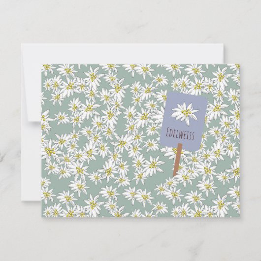 エーデルワイス アルプス ワイルドフラワー キュート ボヘミア サージュ グリーン サンキューカード (正面)