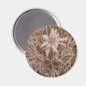 エーデルワイス – ステラアルピナ マグネット (正面/裏面)