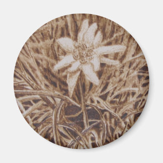 エーデルワイス – ステラアルピナ マグネット