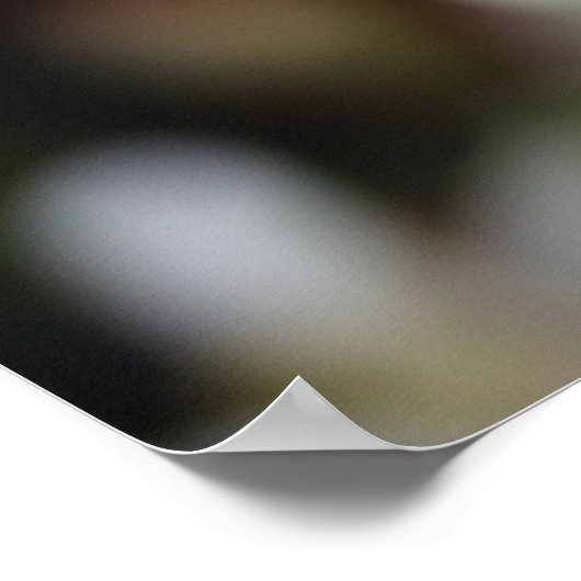 エーデルワイス ポスター (角)